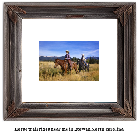 horse trail rides near me in Etowah, North Carolina